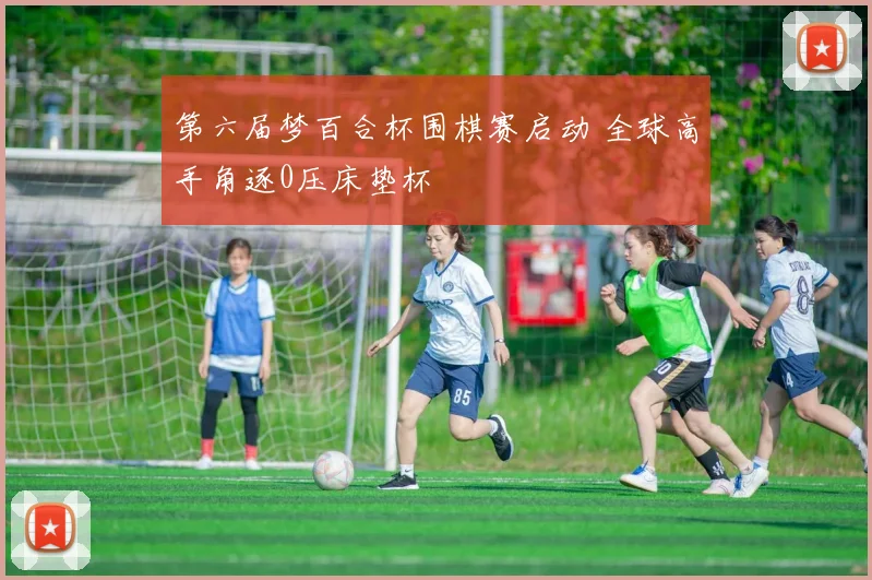 第六届梦百合杯围棋赛启动 全球高手角逐0压床垫杯